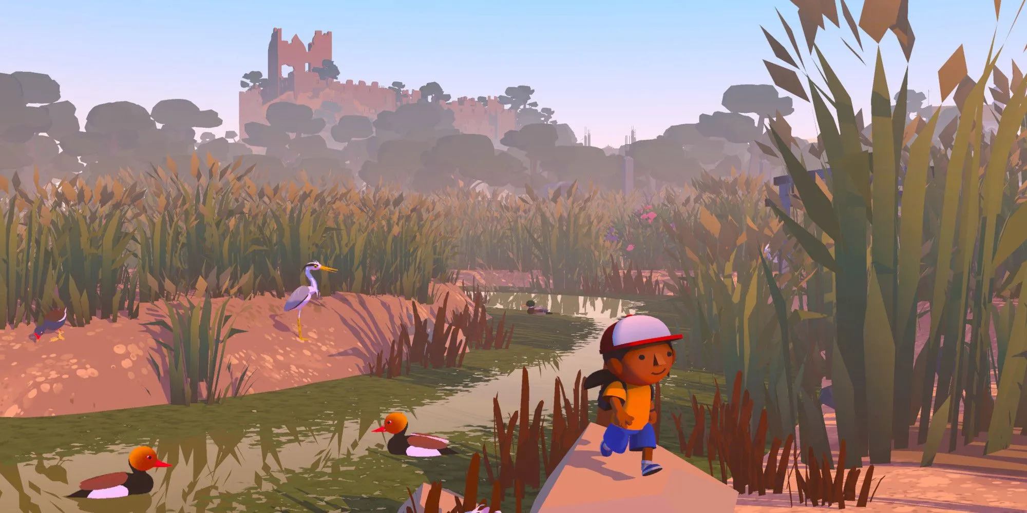 Alba trong game Alba A Wildlife Adventure khám phá đầm lầy với những chú vịt