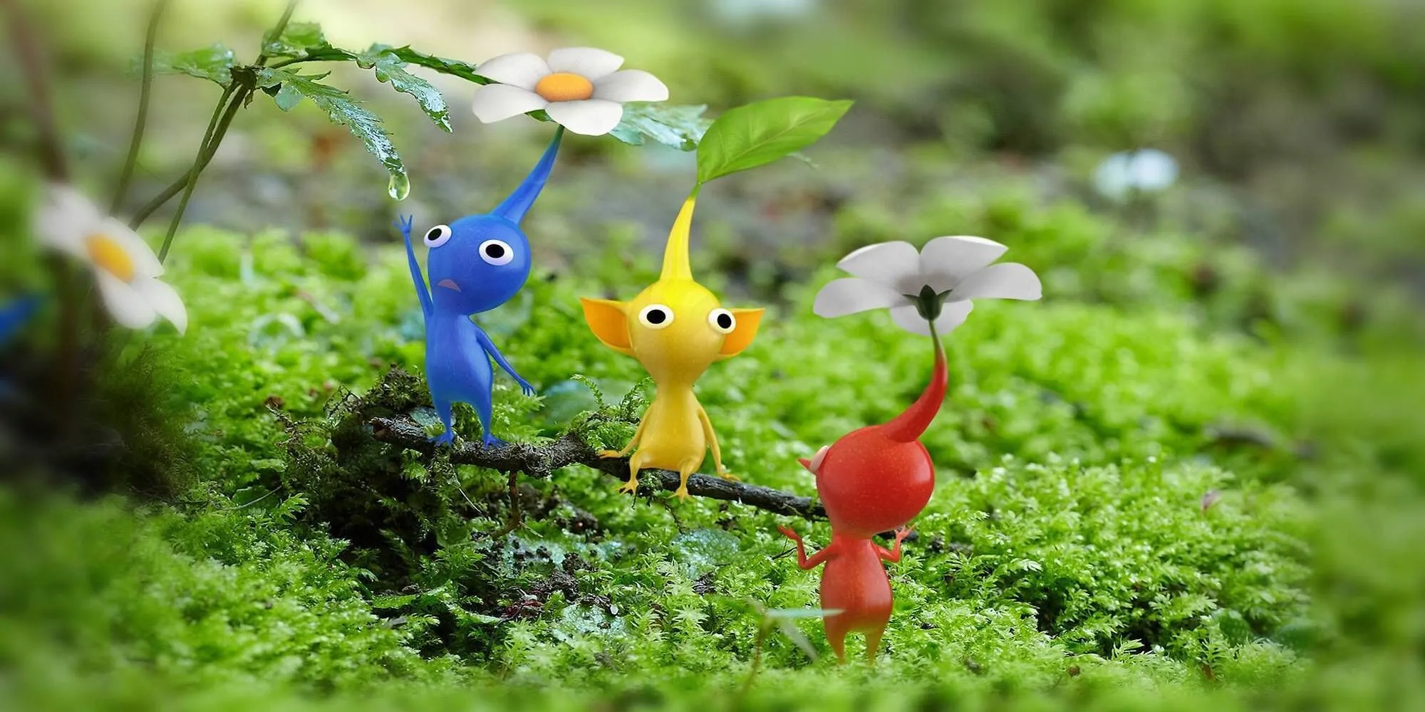 Ba nhà thám hiểm Alph, Brittany và Charlie cùng đội quân Pikmin nhiều màu sắc trên một cành cây phủ rêu.