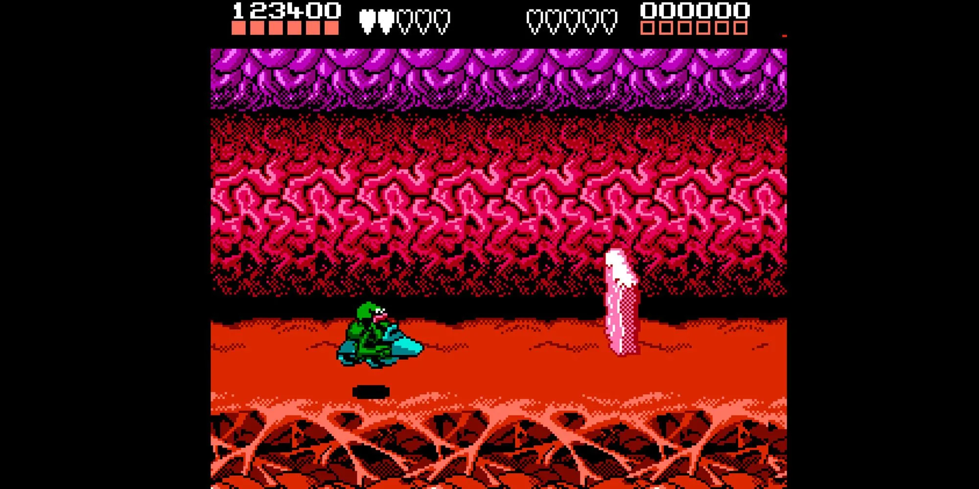Hai nhân vật Battletoads trong game Battletoads phiên bản NES đang chiến đấu