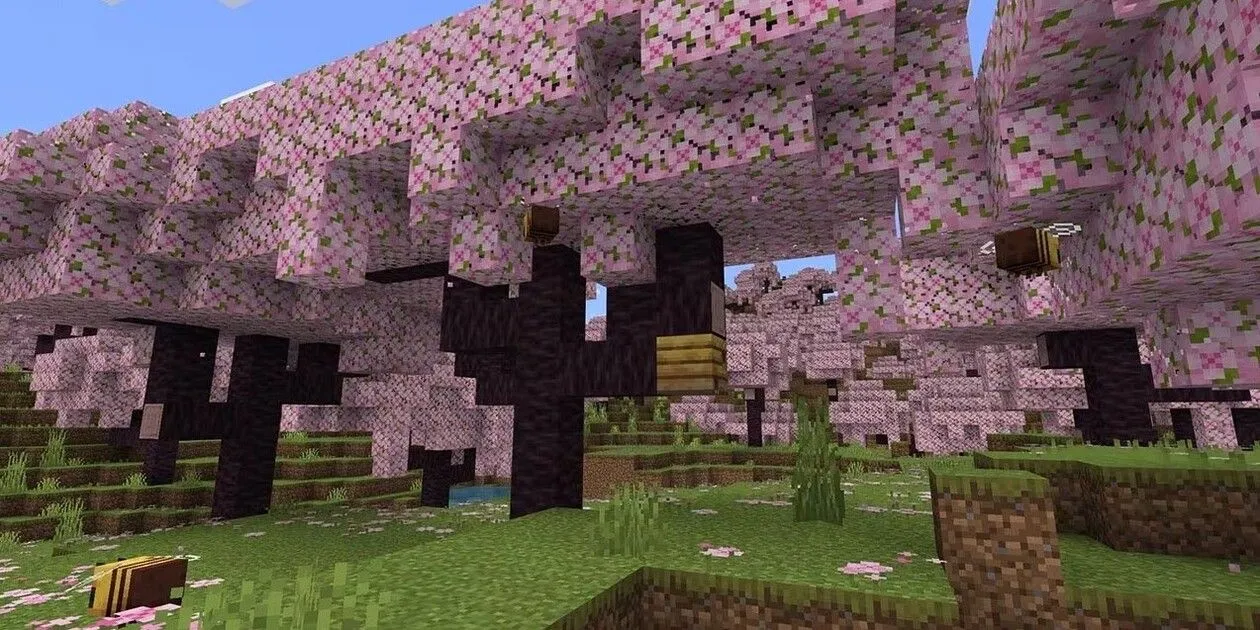 Khu rừng hoa anh đào tuyệt đẹp trong bản cập nhật Trails and Tales của Minecraft.
