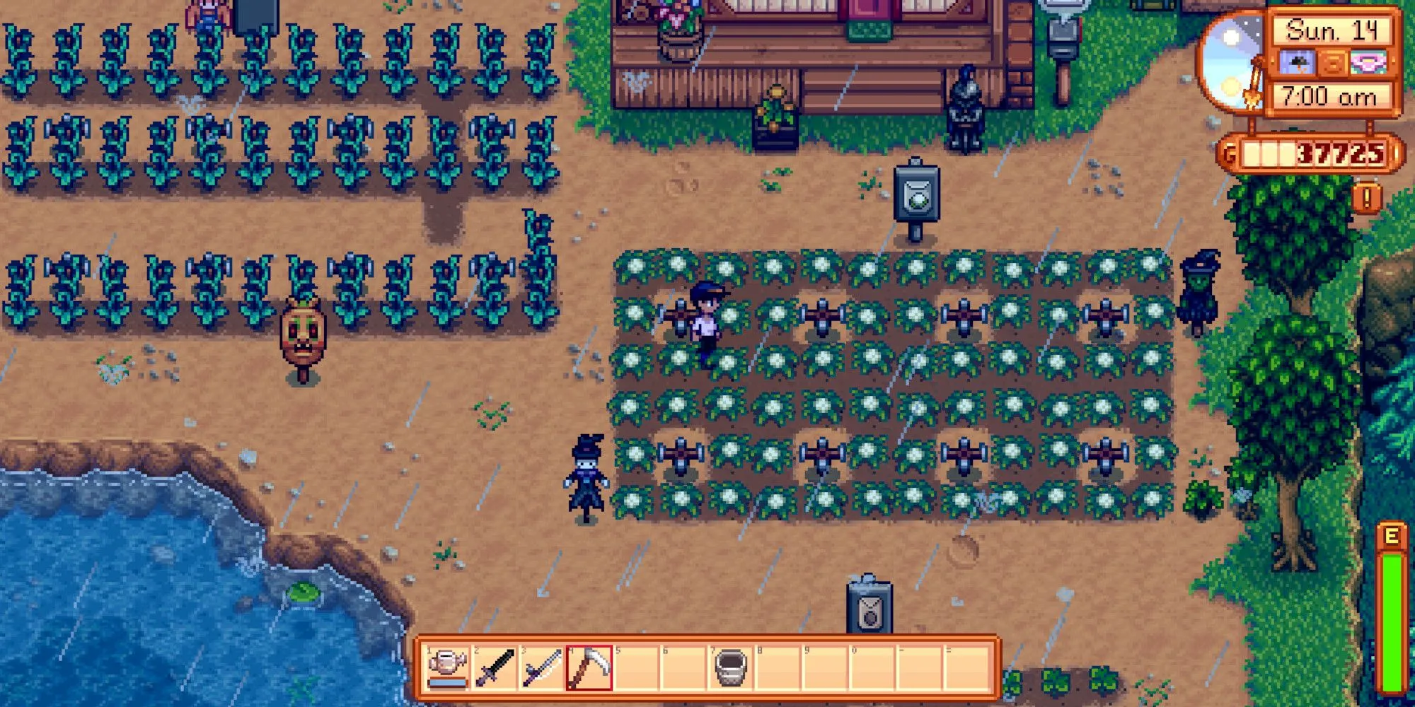 Người chơi đang chăm sóc ruộng vườn dưới mưa trong Stardew Valley