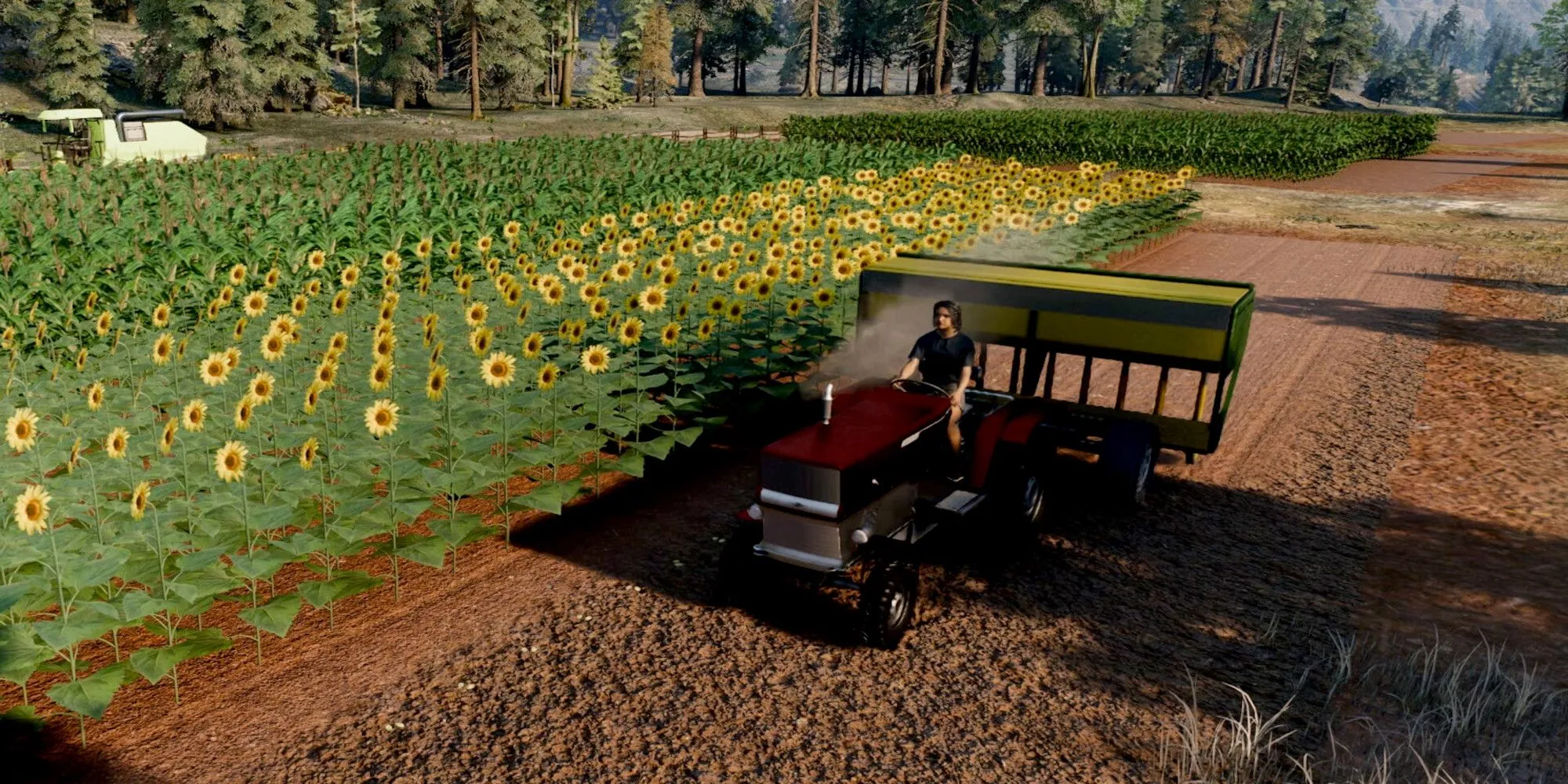 Người chơi lái máy cày thu hoạch ngô trong Ranch Simulator