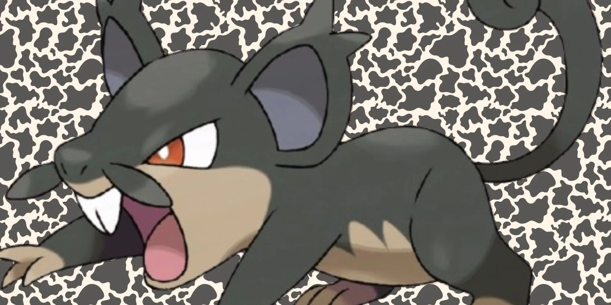 Pokémon Rattata dạng Alola với bộ lông sẫm màu và vẻ ngoài tinh ranh hơn