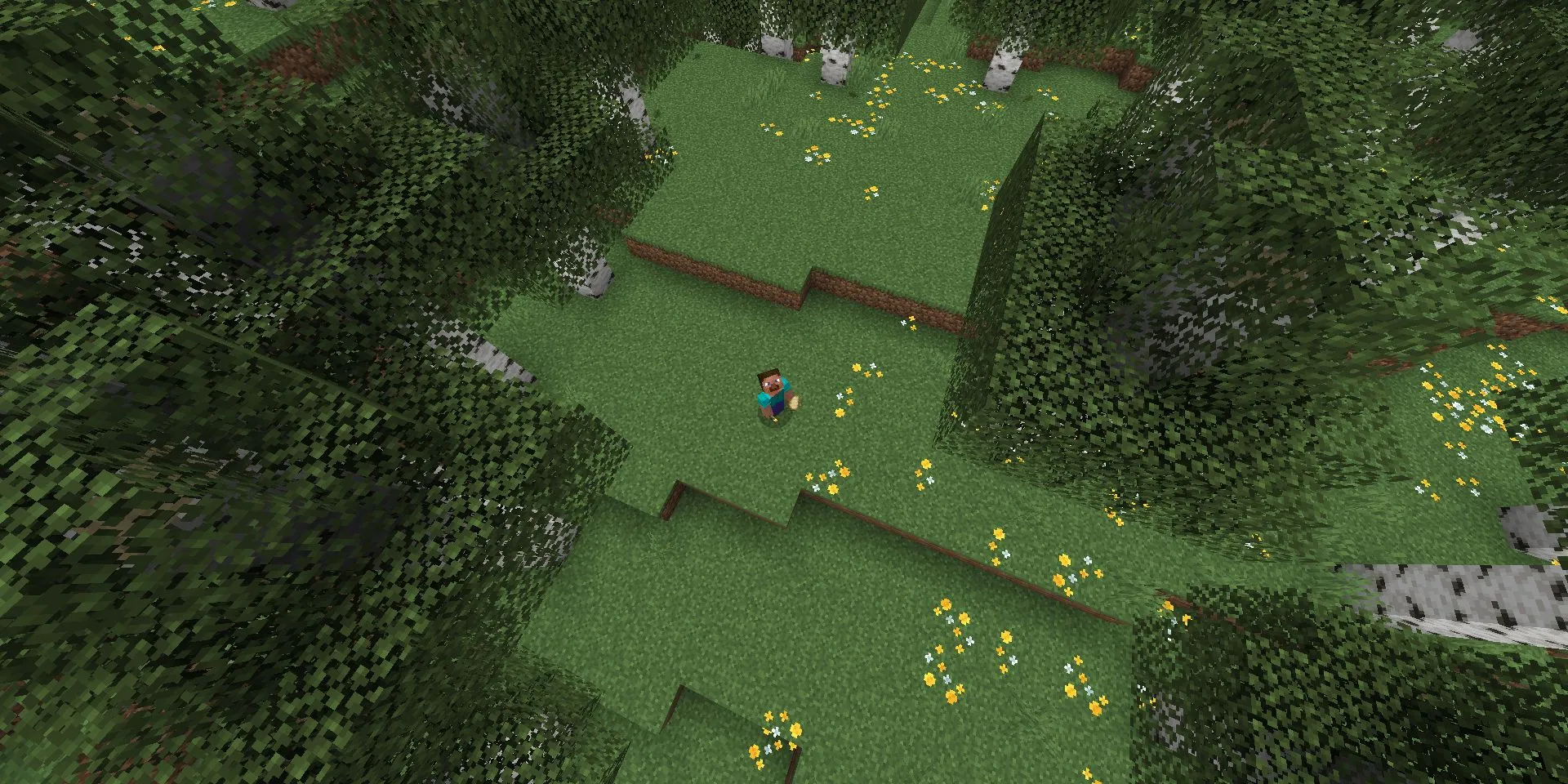 Steve trong Minecraft đứng trong rừng Bạch Dương
