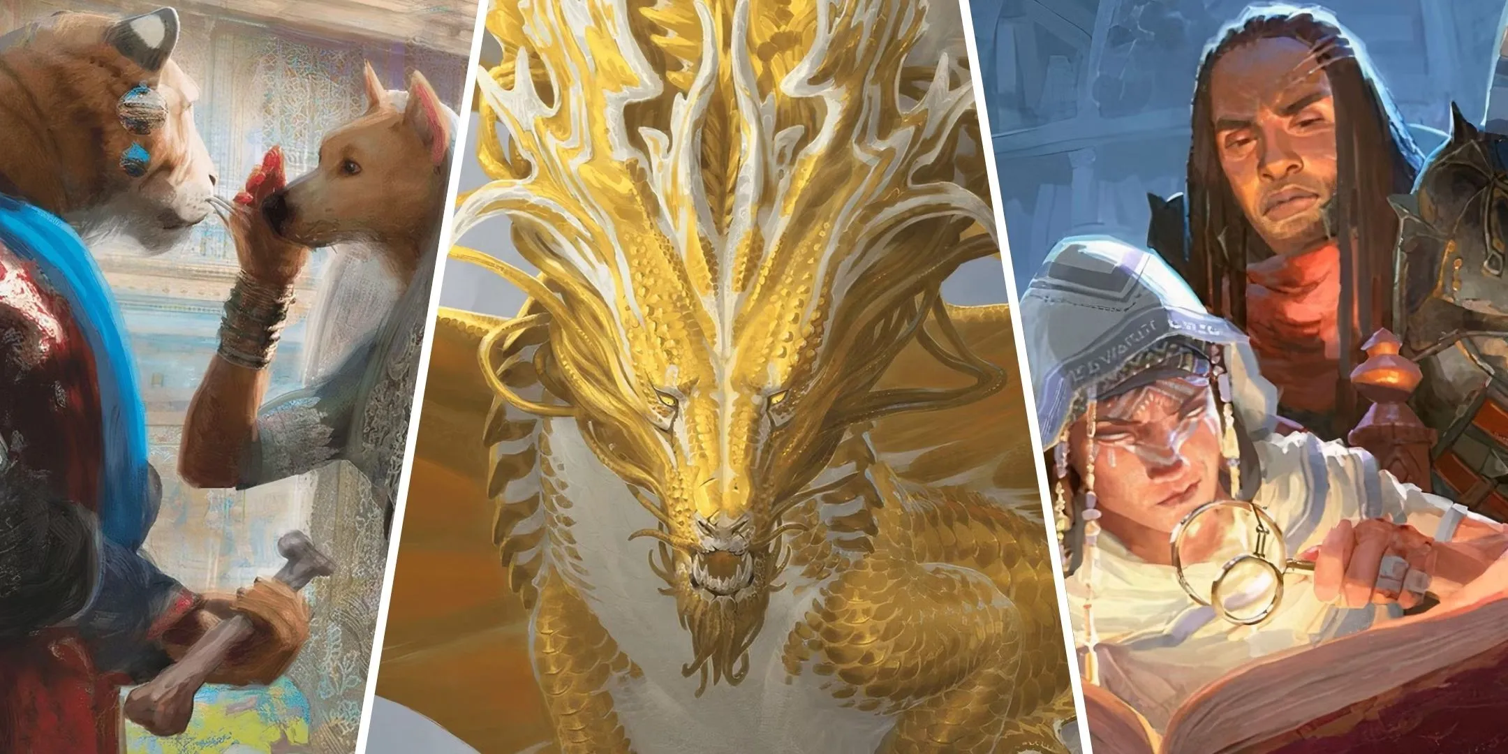 Người chơi Dungeons & Dragons khám phá thế giới fantasy phong phú với rồng vàng và sinh vật nhân hình